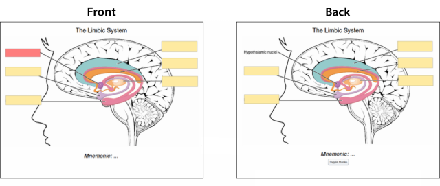 How image occlusion plugin works